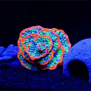 1 pc Fish tank decoration aquarium decoration plants fluorescent spiral coral reef decoration luminous fish tank decoration beta