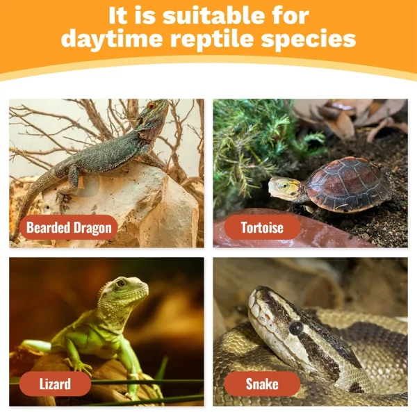 13W /26W Reptile Heating Lamps 5.0 10.0 15.0 UVB Reptiles Energy Saving Light Turtles Lizard Snake Reptile UVB Heating Lights - Image 4