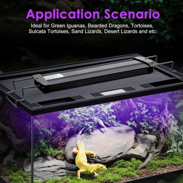 10.0 20.0 Turtle Reptile Full Spectrum Lamp UVA+UVB Turtles Basking Light Amphibious Heat Lamp Lizard Reptile Terrarium Lighting - Image 3