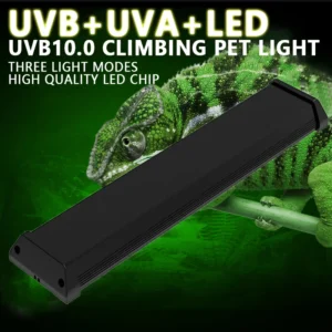 UVA+UVB Reptile Lamp Full Spectrum LED Light Lizard Supplies Turtle Sunbathe Heat Lamp Amphibians Supplement Calcium Light 4-12W
