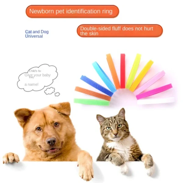 12pcs Pet Collars Dog Cat Hook and Loop Identification Collar Kitten Puppy Id Classification Dog Accessories for Small Dogs - Image 3