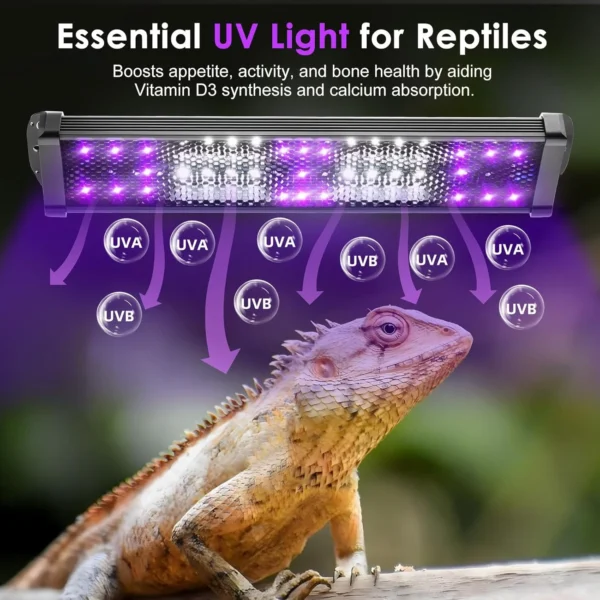 10.0 20.0 Turtle Reptile Full Spectrum Lamp UVA+UVB Turtles Basking Light Amphibious Heat Lamp Lizard Reptile Terrarium Lighting - Image 2